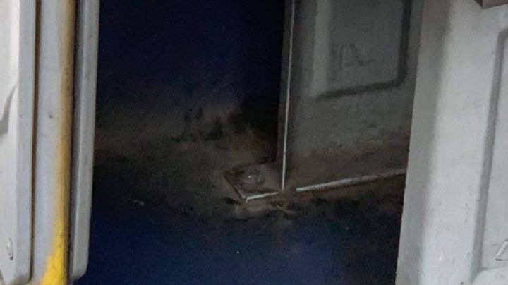 Ni una limpiadita: así de sucios están los vagones de las orugas