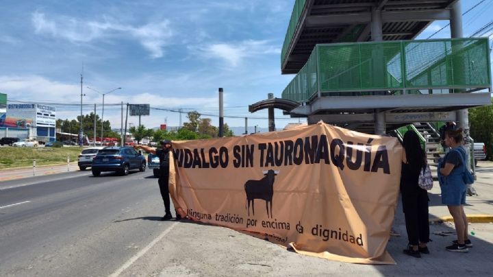 Acusan activistas antitaurinos en Hidalgo amenazas y acoso digital tras campaña contra los toros