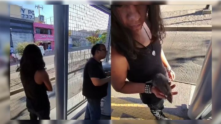 Este joven llevaba como mascota una rata de alcantarilla, en la Oruga de León