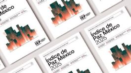 Foto que representa a ONG que estudió la violencia en México por 15 años, pidió cancelarse como donataria