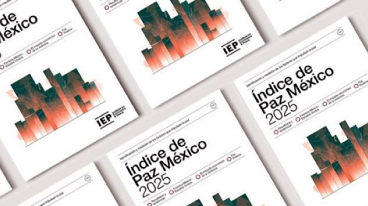 ONG que estudió la violencia en México por 15 años, pidió cancelarse como donataria