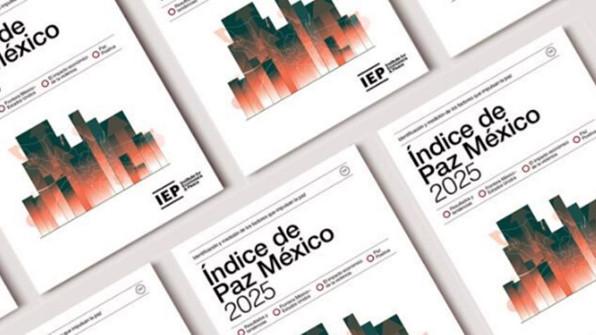 ONG que estudió la violencia en México por 15 años, pidió cancelarse como donataria