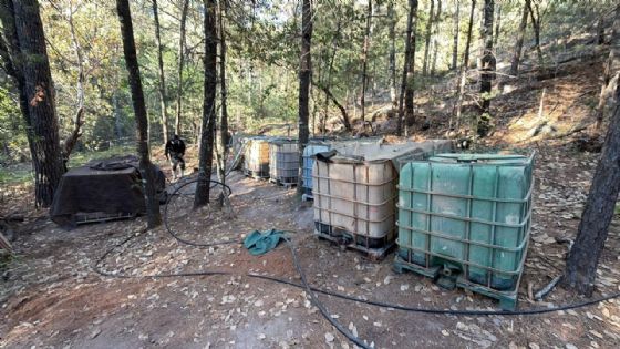 Agentes de EU muertos en Chihuahua, sin permiso para operar: Gabinete de Seguridad