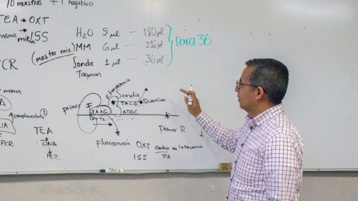La UAEH abre docenas de vacantes para ser profesor en Pachuca; así te postulas