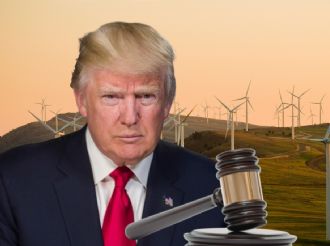Juez frena medidas de Trump contra energía solar y eólica