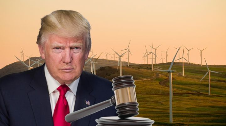 Juez frena medidas de Trump contra energía solar y eólica