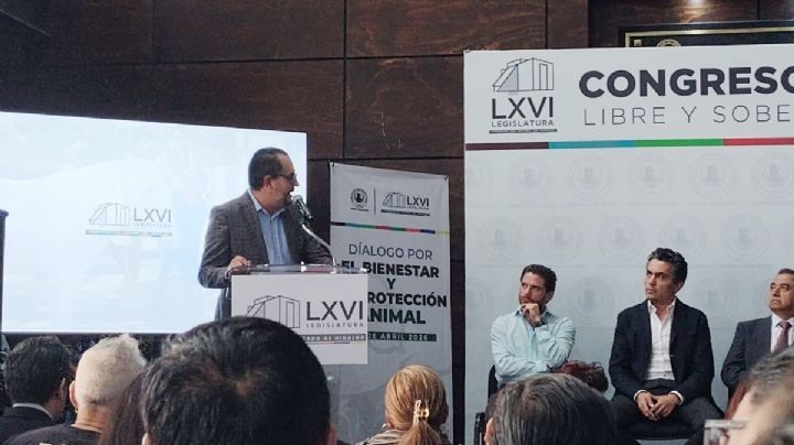 Diputado del PRI que rescata perros rechaza reforma antitaurina por “vacíos” legales