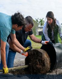 Foto descriptiva de: Mundial 2026: FIFA plantará un millón de árboles en todas las sedes