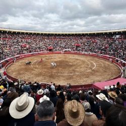 Toros en disputa: el debate que divide a Hidalgo