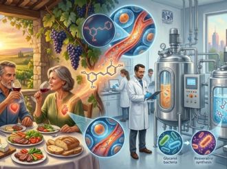 Un vinito para la salud: la ciencia descubre el secreto de la uva