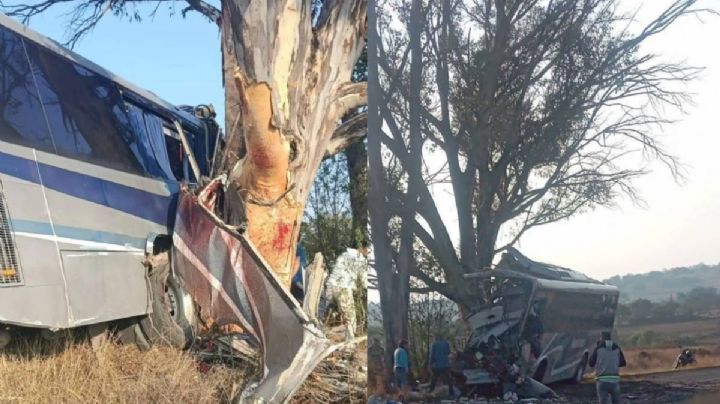 Autobús se impacta contra árbol en Amealco, Querétaro; hay al menos 9 pasajeros muertos