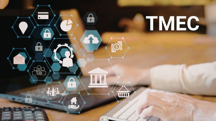 ¿Qué hacer con el capítulo digital del TMEC?