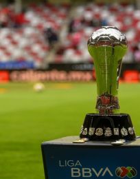 Foto descriptiva de: Cambios en la Liga MX: FMF, nuevo dueño, regreso de equipo, play-in, ascenso y descenso