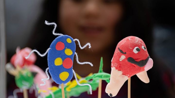 Los microbios, constructores y recicladores de ecosistemas