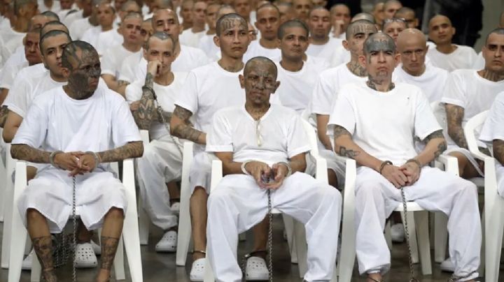 El Salvador: 486 pandilleros siguen juicio masivo desde prisión
