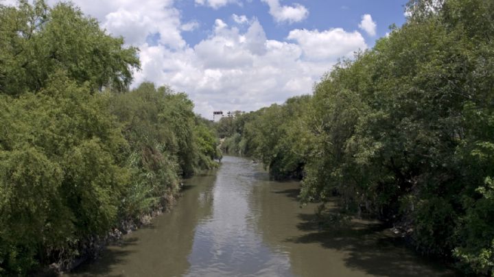 “Renace el río Tula”, el ambicioso proyecto con ahuehuetes para reforestar el más contaminado