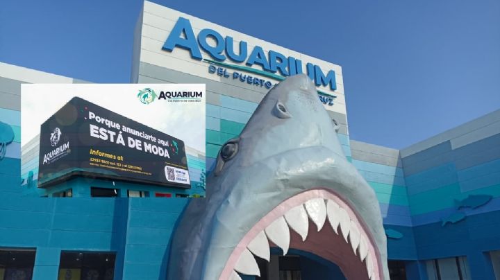 Aquarium de Veracruz ofrece pantalla exterior anunciar tu negocio; esto sabemos
