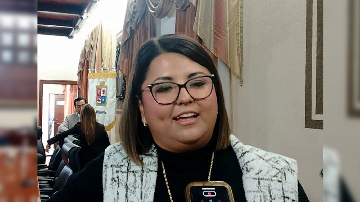 "Acción Nacional no depende de una persona": Irazú Anguiano