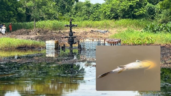 Continúa derrame de hidrocarburo en laguna Mezcalapa de Minatitlán, Veracruz