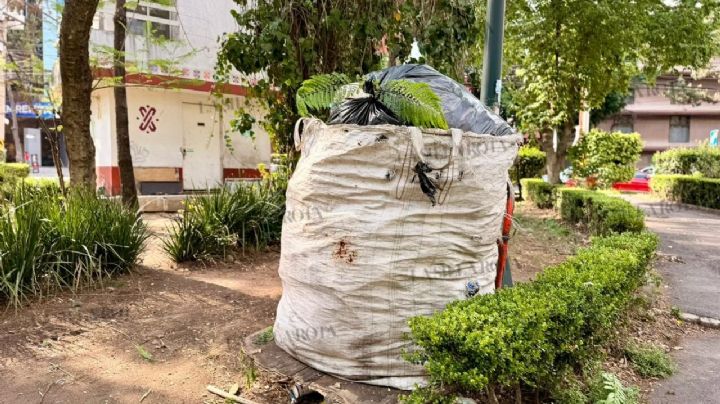Alameda, Parque Hundido y Parque México en jaque por basura, ratas y mobiliario vandalizado