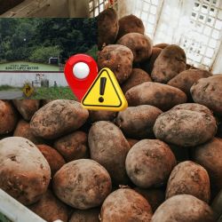 Comunidad de Tlalnelhuayocan, Veracruz, pide emergencia ambiental por uso de agroquímicos en plantíos