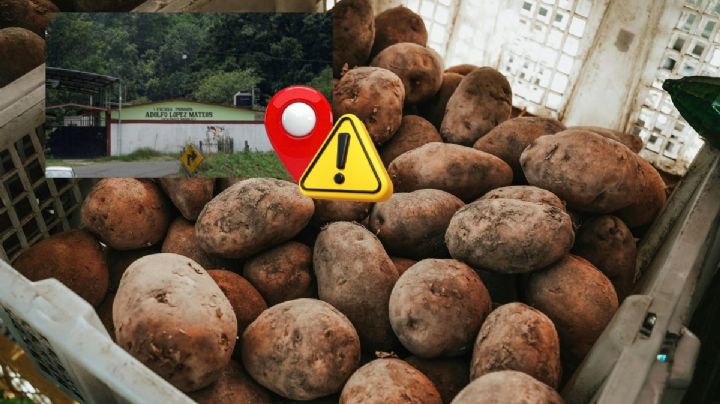 Comunidad de Tlalnelhuayocan, Veracruz, pide emergencia ambiental por uso de agroquímicos en plantíos