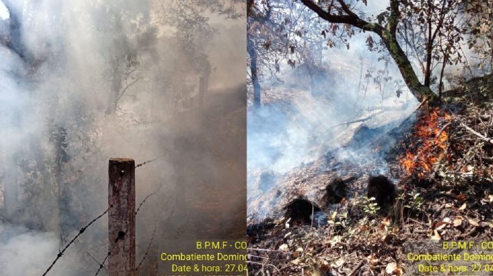 En medio de ola de calor, se activa incendio forestal en Perote, Veracruz