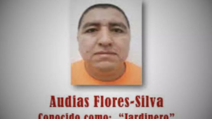 Cae "el Jardinero”, mano derecha del Mencho; ¿Cómo impacta en Guanajuato?