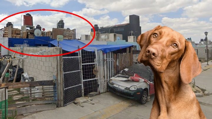 Casa del horror en Mineral de la Reforma: hallan azotea con cadáveres de mascotas