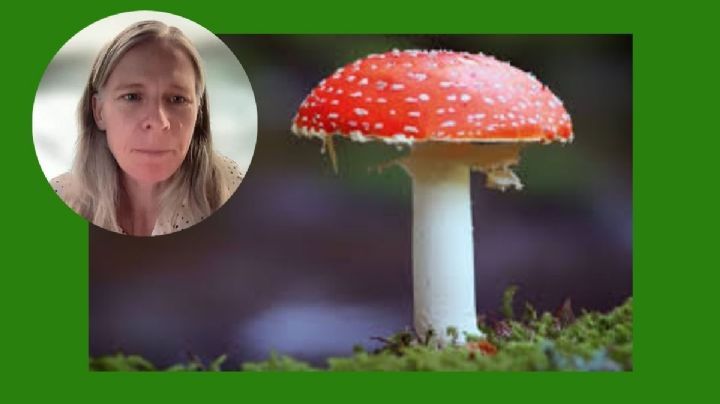 Investigadora IPN imparte seminario para la UV sobre Simbiosis hongo-bacteria
