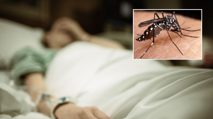 Confirman primera muerte por dengue en Veracruz en 2026; suman 243 casos