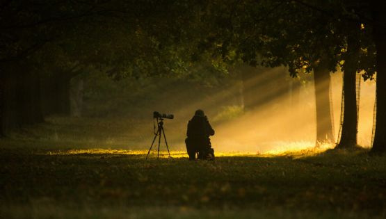 La foto ya no prueba nada