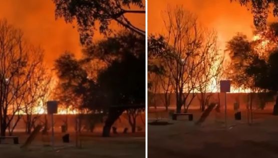 Fuerte incendio la noche de este miércoles atrás de Jardines del Bosque, en León