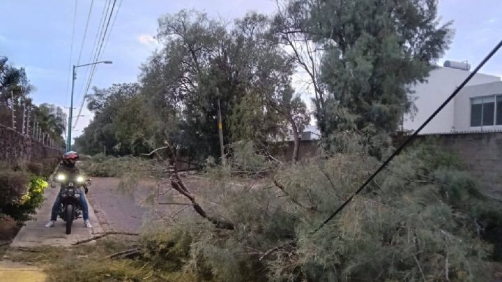 Clima en Guanajuato: Calorón y fuertes rachas de viento este miércoles 29 de abril