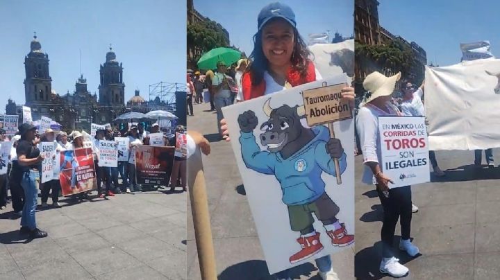 Animalistas de Hidalgo llevan a Palacio Nacional exigencia para prohibir la fiesta brava