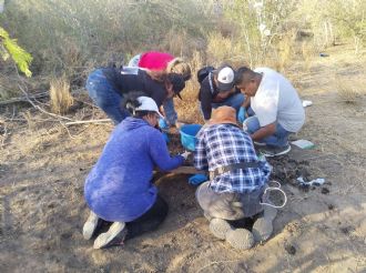 Restos óseos humanos de hasta 14 personas son localizados por el Colectivo “Amor"