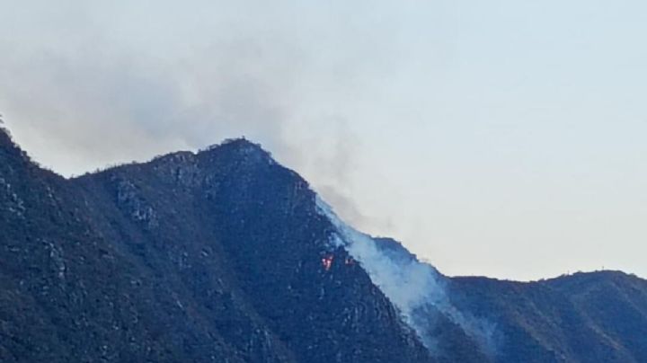 Fuego en las zonas altas: se registra incendio activo en Jacala de Ledezma
