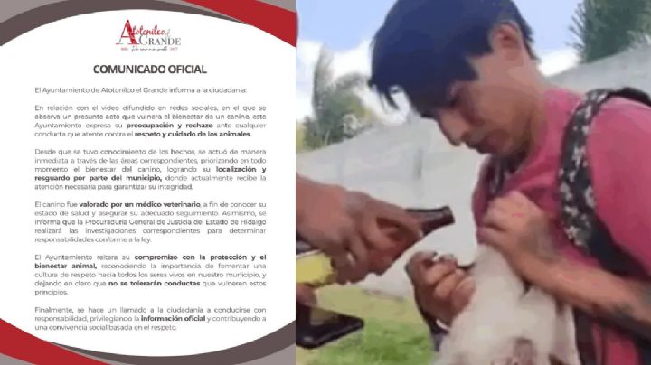 Gobierno de Atotonilco toma cartas en el asunto; resguardan a lomito alcoholizado