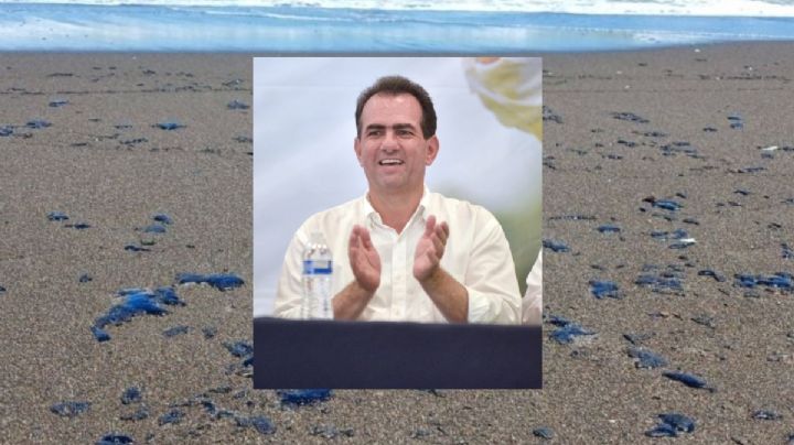 Gobierno minimiza crisis ambiental: Pepe Yunes por derrame de petróleo en el Golfo de México