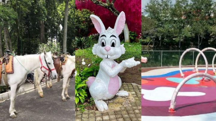 Día del niño: los 3 parques en Xalapa con juegos infantiles para disfrutar