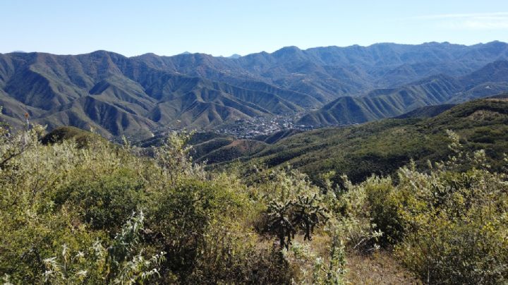 Arde Guanajuato con calor de 40 grados este viernes 1 de mayo
