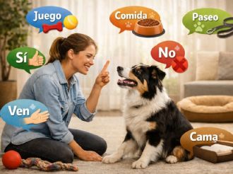 7 palabras que los perros comprenden mejor cuando son cachorros