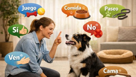 7 palabras que los perros comprenden mejor cuando son cachorros