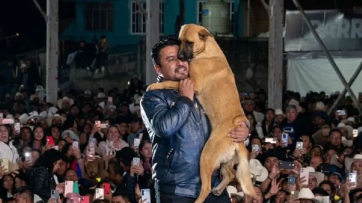 Se viraliza video de alcalde de Zacualtipán bailando con un perro durante celebraciones religiosas