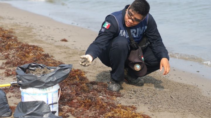 Limpian costas del caribe mexicano de sargazo para Semana Santa y el Mundial