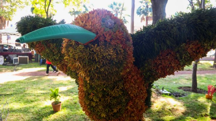 Reforestación de la ciudad, apuesta por el futuro
