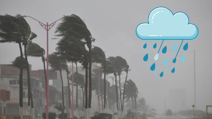 Seguirán lluvia y Norte en Veracruz hasta este día por Frente Frío 43