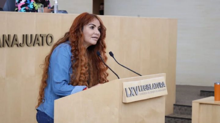 "Son marranadas": diputada sobre empresa fantasma en gobierno de Ale Gutiérrez