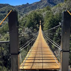 El pueblito donde caminas sobre el puente colgante más largo de Hidalgo; así es