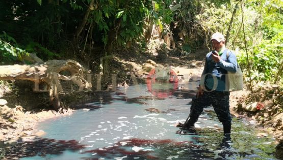 Contaminación y fauna muerta: el nuevo ecocidio de Pemex en la sierra de Las Choapas, Veracruz